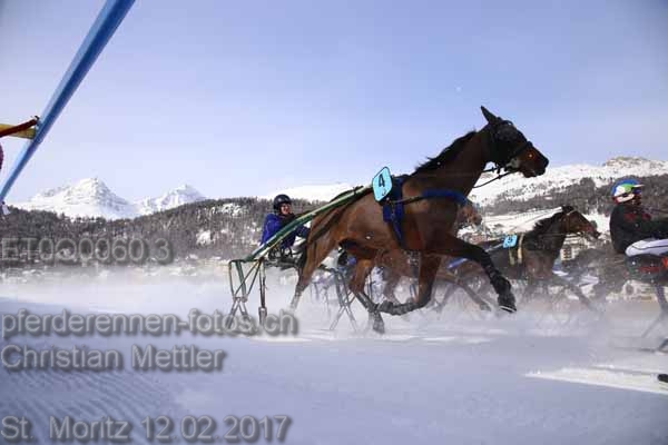 ET0Q0060.3 prot
